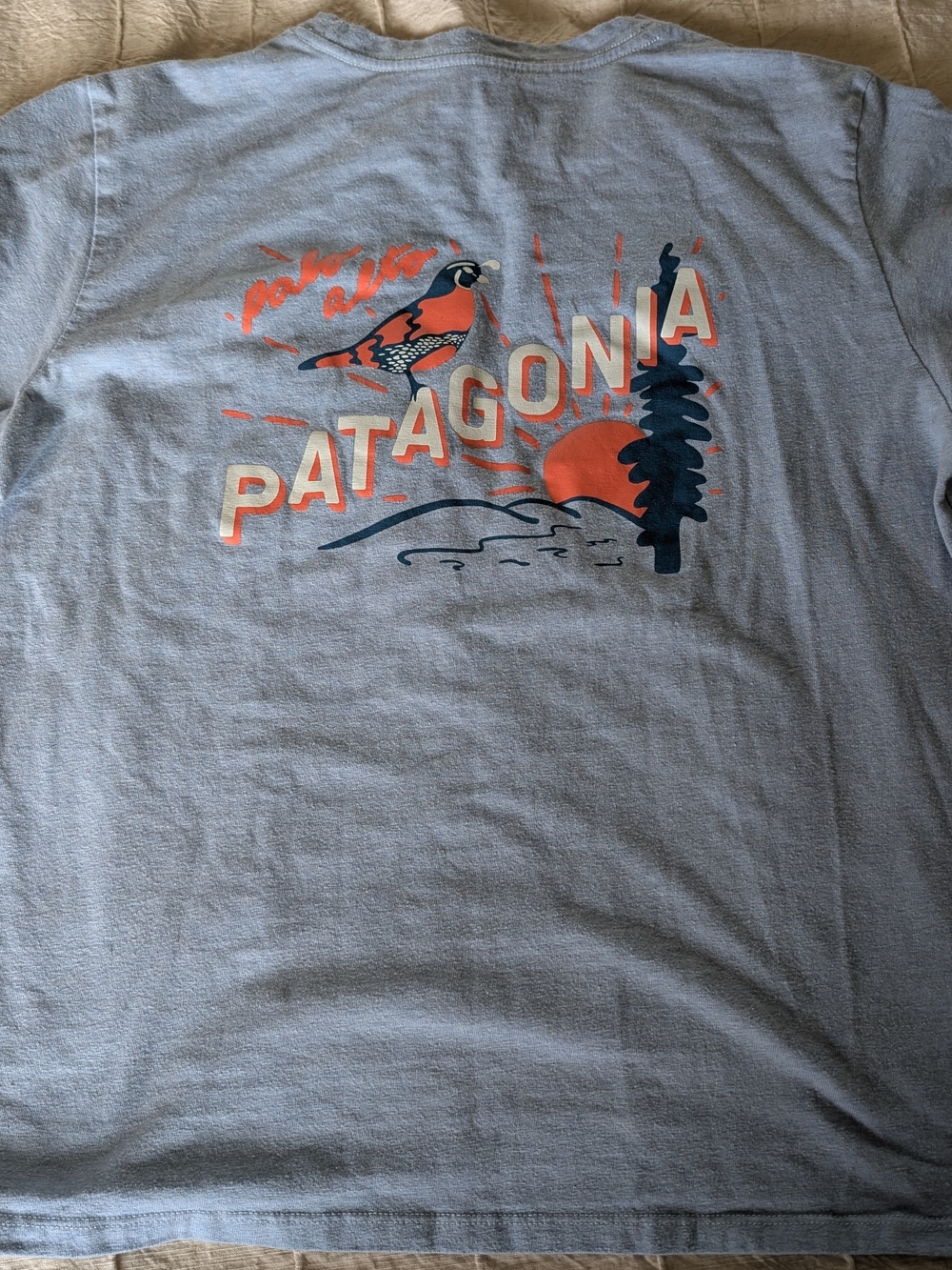 Patagonia Women's T-shirt Palo Alto City